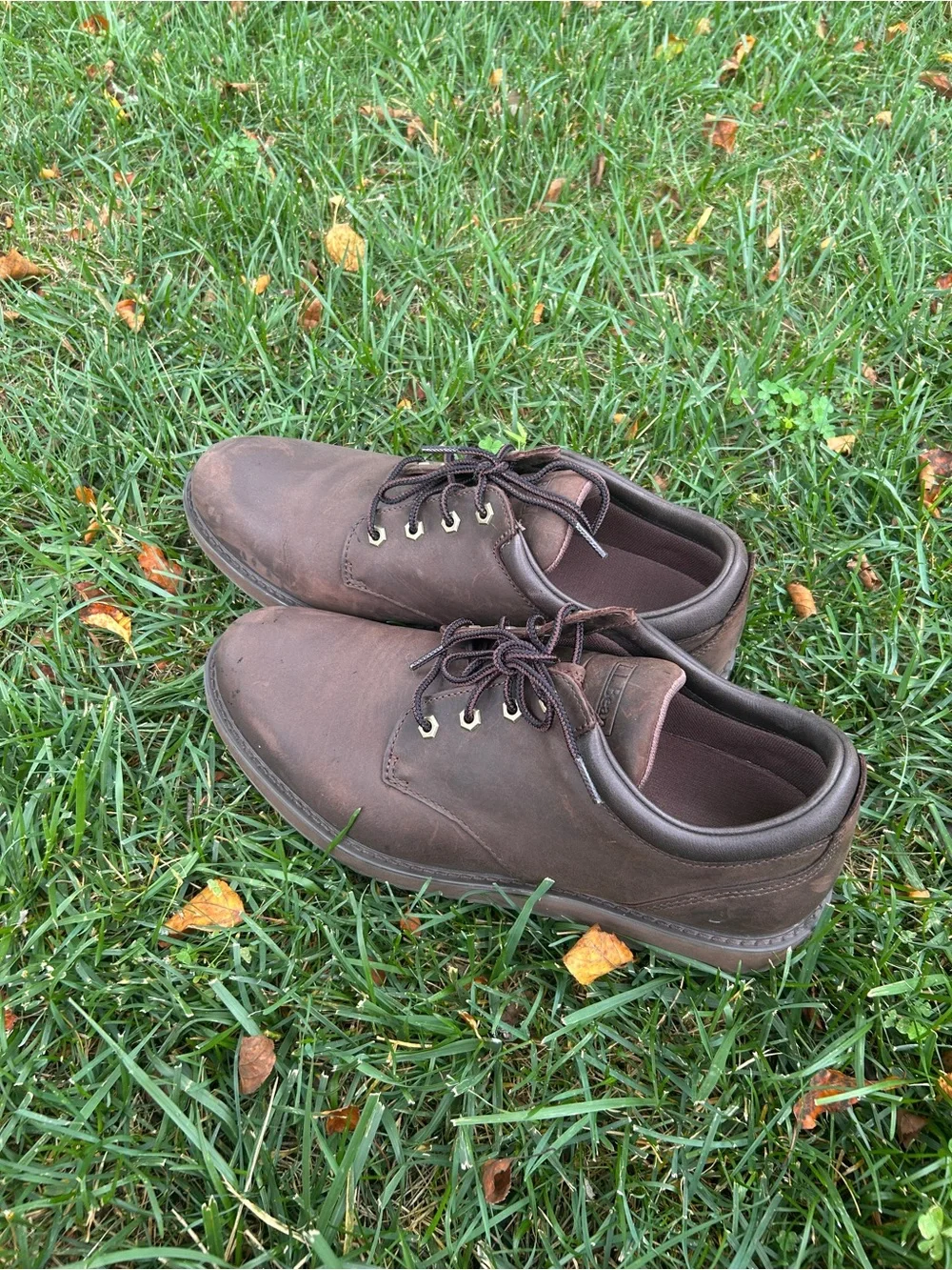 L.L. Bean Men's Dark Brown Leather Chukka Boots